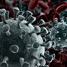 Coronavirus | Bildquelle: Shutterstock Coronavirus in Nahaufnahme